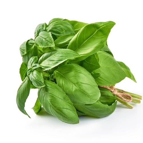 Italian-basil_799x.progressive